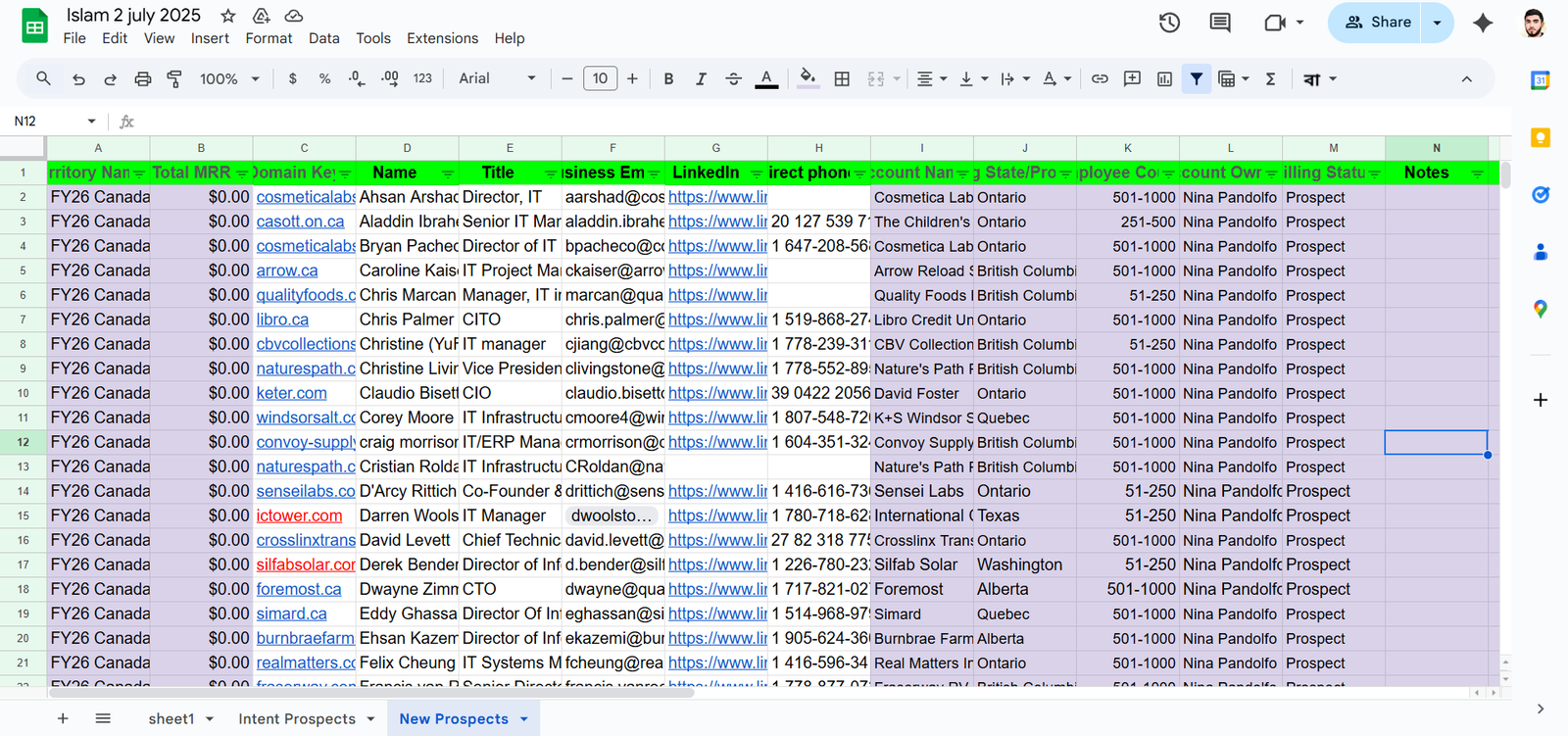Web Research & Large-Scale Sheet Data Mining – 40K+ Verified Records